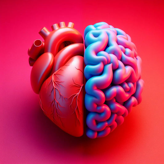 Metade de um coração e de um cérebro fundem-se criando a alusão à inteligência emocional. 